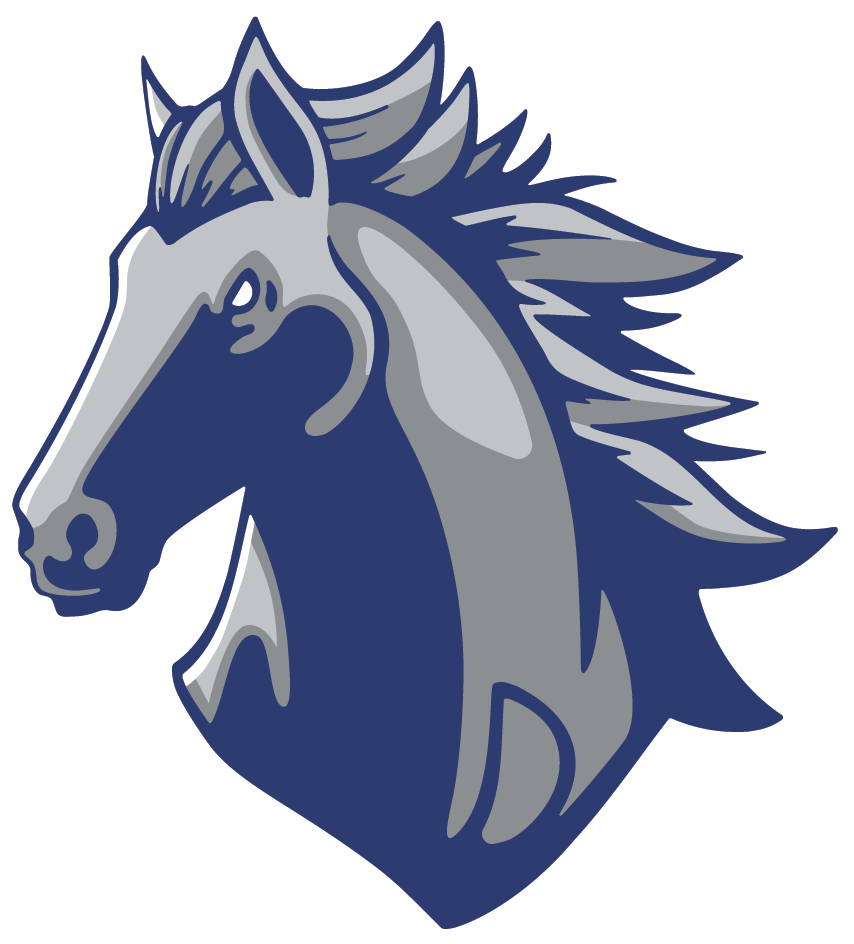 Dobson Football